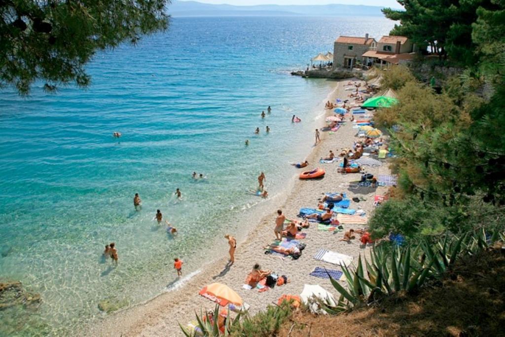 Villa Nera Bol Dış mekan fotoğraf